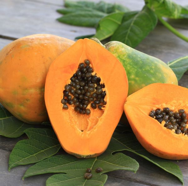Papaya